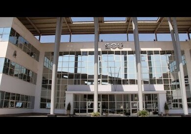 الجامعة المصرية الصينية